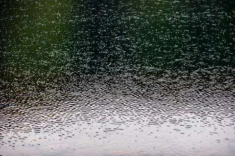 Texture of water, wind making wrinkles of water. Stock Photos
