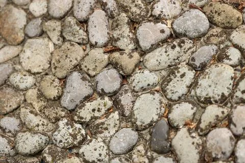 Texture of weathered cobblestones as background Stock Photos
