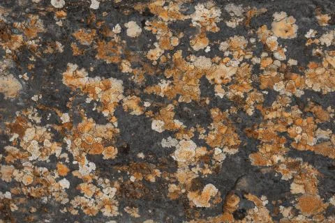 Texture from a weathered rock surface 스톡 사진