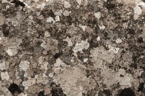 Texture from a weathered rock surface Fotos de archivo