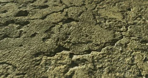 Texture of weathered stone surface showing intricate patterns in detail Stock Illustration