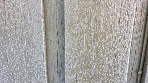 Texture of weathered wood with white patterns in sunlight 스톡 사진