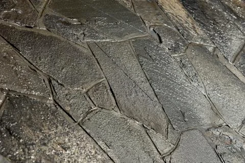 Texture of the wet concrete yard Stock Photos