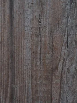 Texture of a wet old tree Stock Photos