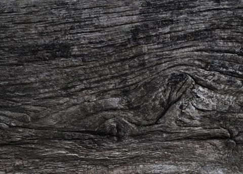 Texture of a wet old tree Foto stock