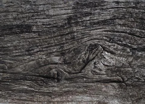 Texture of a wet old tree Foto stock