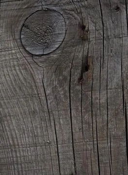 Texture of a wet old tree Foto stock