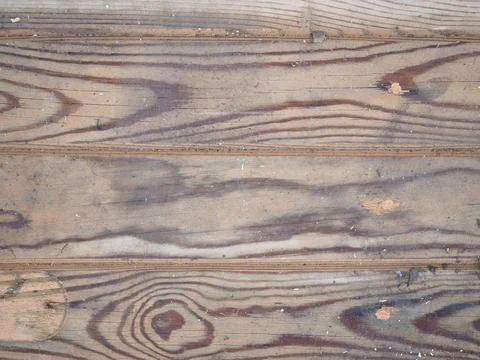 Texture of a wet old tree Stock Photos