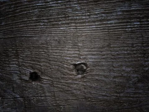 Texture of a wet old tree Stock Photos