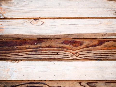 Texture of a wet old tree Foto stock