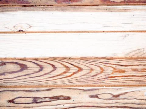 Texture of a wet old tree Foto stock