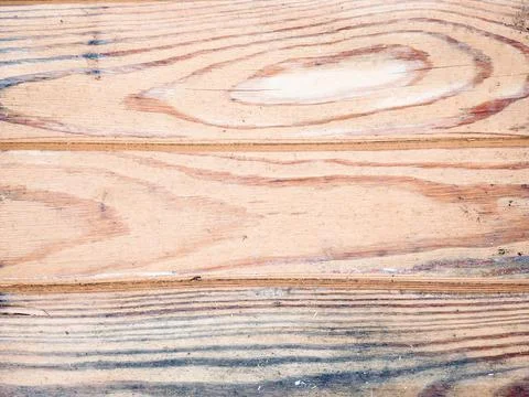 Texture of a wet old tree Foto stock