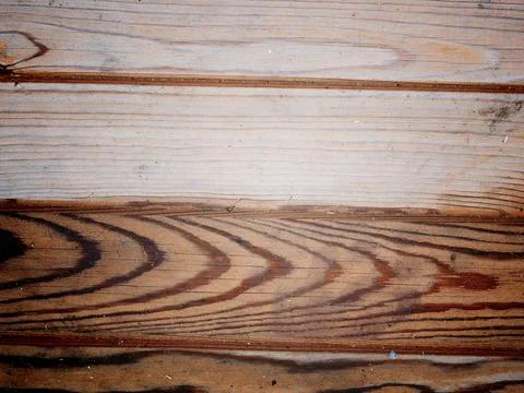 Texture of a wet old tree Stock Photos