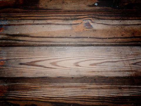 Texture of a wet old tree Stock Photos