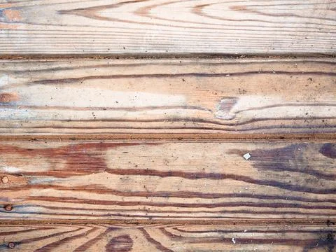 Texture of a wet old tree Stock Photos