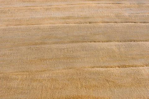 Texture of wet sand on the beach Stock Photos