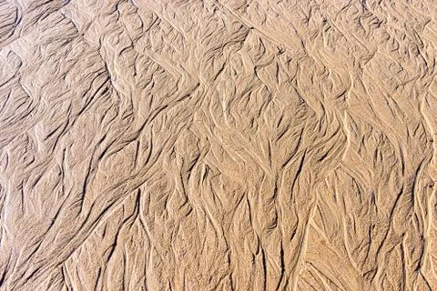 Texture of wet sand on the beach Stock Photos