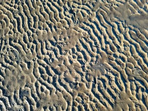 The texture of wet sand mud Stock Photos