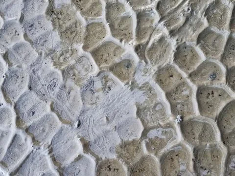 The texture of wet sand mud Stock Photos