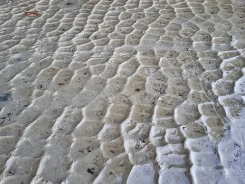 The texture of wet sand mud Stock Photos