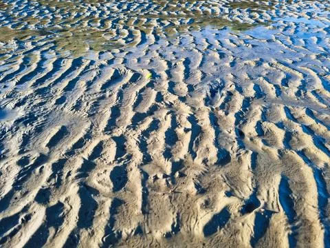 The texture of wet sand mud Stock Photos