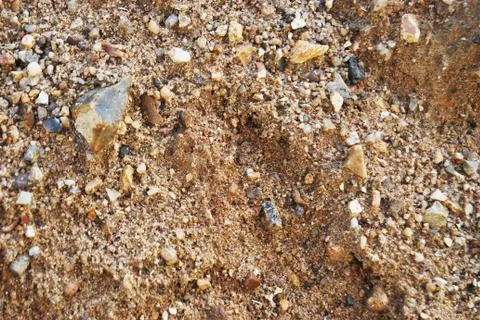 Texture of wet sand Stock Photos