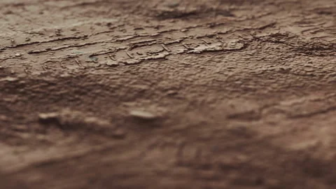 Texture of wet soil with tracks from an animal moving through it Stock Footage 341789810