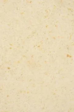 Texture of Wheat Tortilla Close Up 스톡 사진