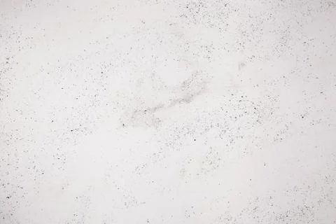 Texture white background with small particles of scattered soil Stock Photos