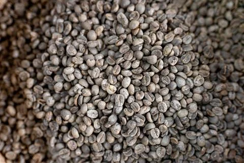 Texture of white coffee beans ready for roasting Stock Photos