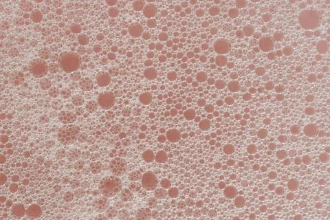 Texture of white foam on a pink background. Stock Photos