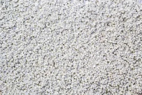 Texture of white foamed polystyrene sheet Stock Photos