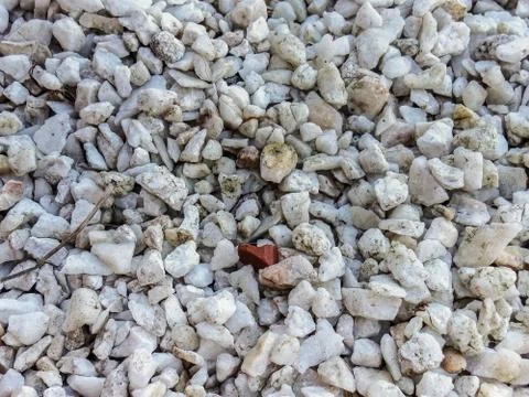 Texture white little Stone Stock Photos