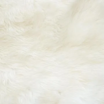 Texture of white sheep wool carpet Stock Photos