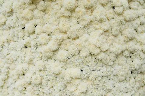 Texture of white'flower Stock Photos