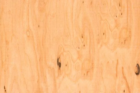 Texture of wood background close up. Empty template. Stock Photos