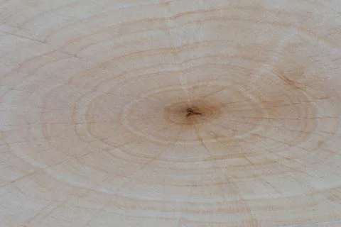 Texture of wood background close up. Empty template. Stock Photos