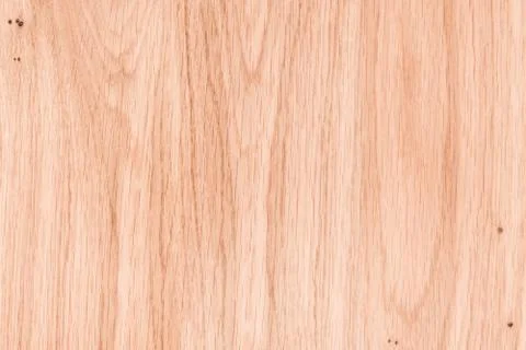 Texture of wood background close up. Empty template. Stock Photos