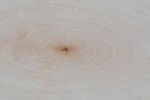 Texture of wood background close up. Empty template. Stock Photos