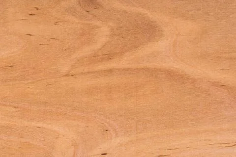 Texture of wood background close up. Stock Photos