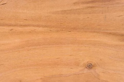 Texture of wood background close up. 스톡 사진