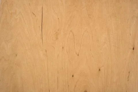 Texture of wood background close up. Stock Photos
