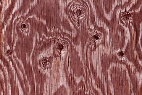 Texture of wood background closeup Stock Photos