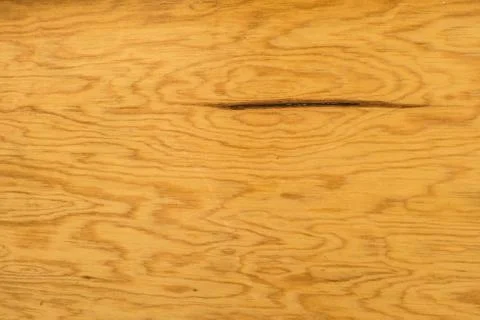 Texture of wood background closeup Stock Photos