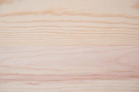 Texture of wood background closeup. Stock Photos