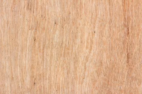 Texture of wood background closeup Stock Photos