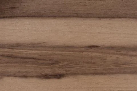 Texture of wood background closeup 写真素材