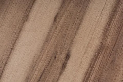 Texture of wood background closeup Stock Photos