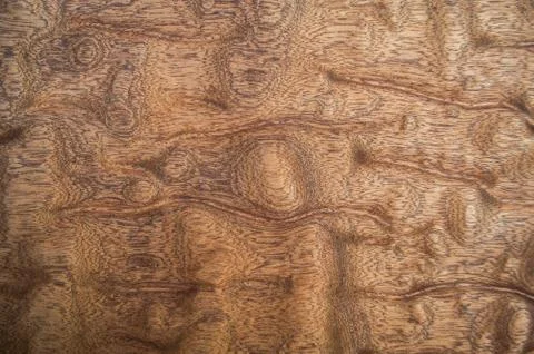 Texture of wood background closeup. Stock Photos