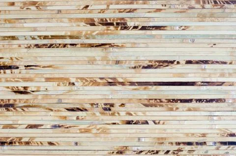 Texture of wood background closeup. Stock Photos